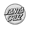 switch_skateboard_logo_santa-cruz